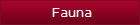 Fauna